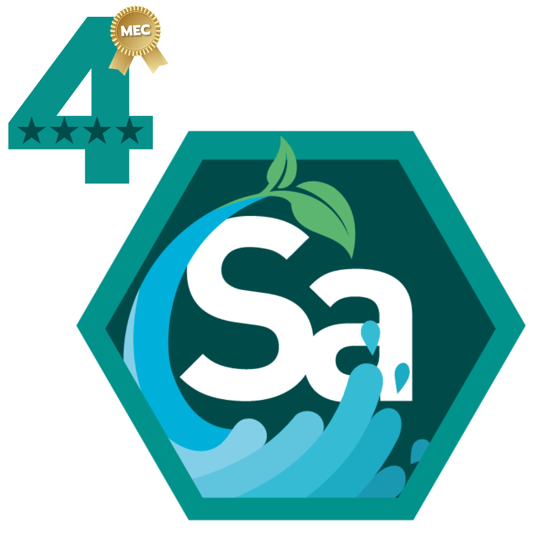 Saneamento Ambiental